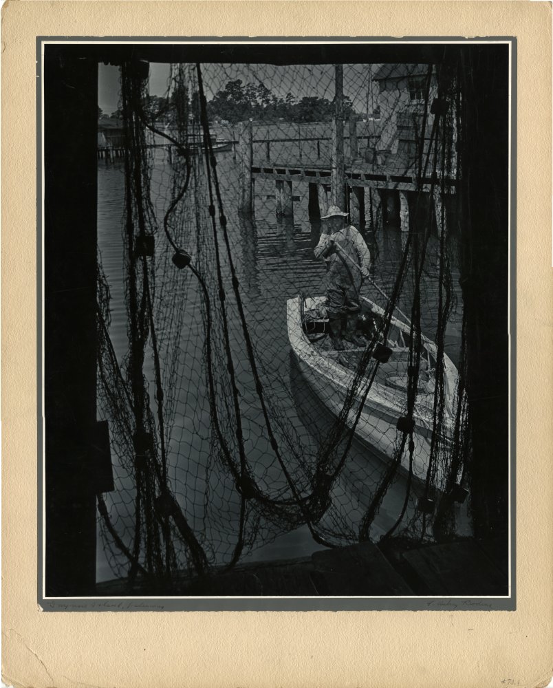 Click for larger image